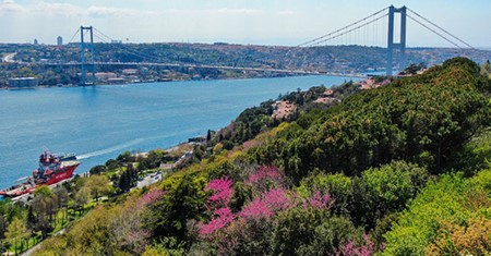 伊斯坦布尔人均绿地面积 12.5 平方米